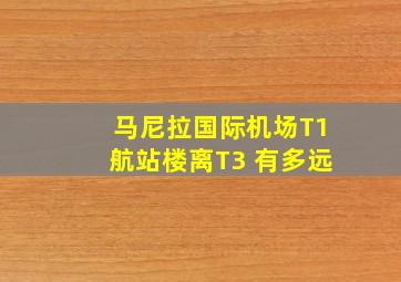 马尼拉国际机场T1航站楼离T3 有多远